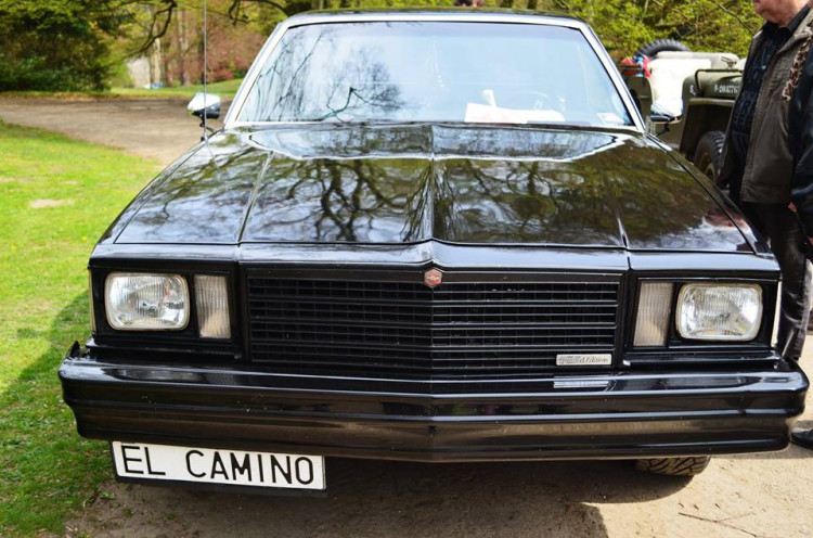 Setkání amerických automobilových veteránů na Sychrově