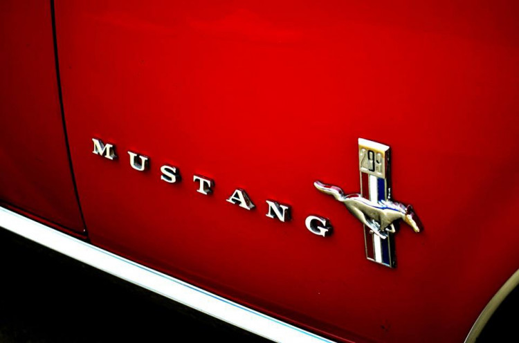 Setkání amerických automobilových veteránů na Sychrově