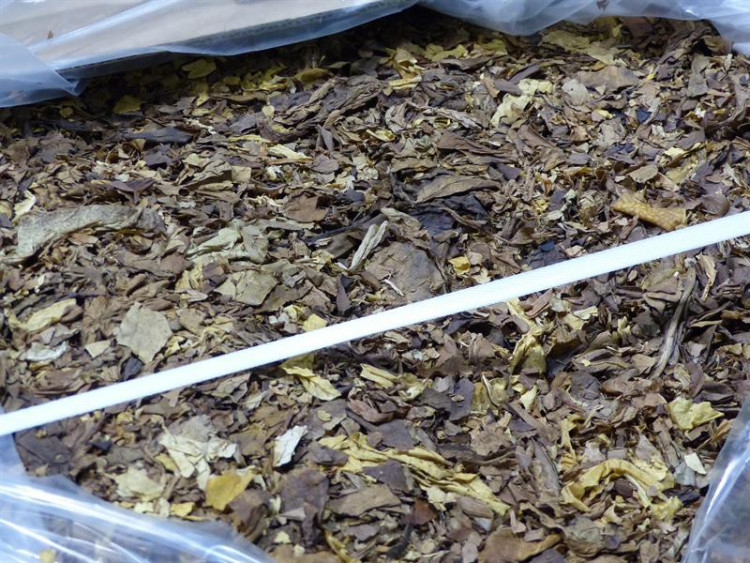 Liberečtí celníci zadrželi dva běloruské kamiony napěchované desítkami tun nezdaněného tabáku