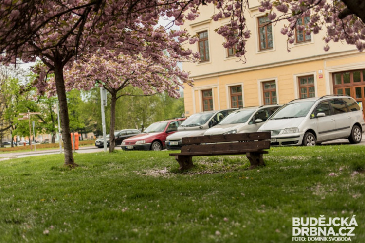 Rozkvetlé Budějce - první máj