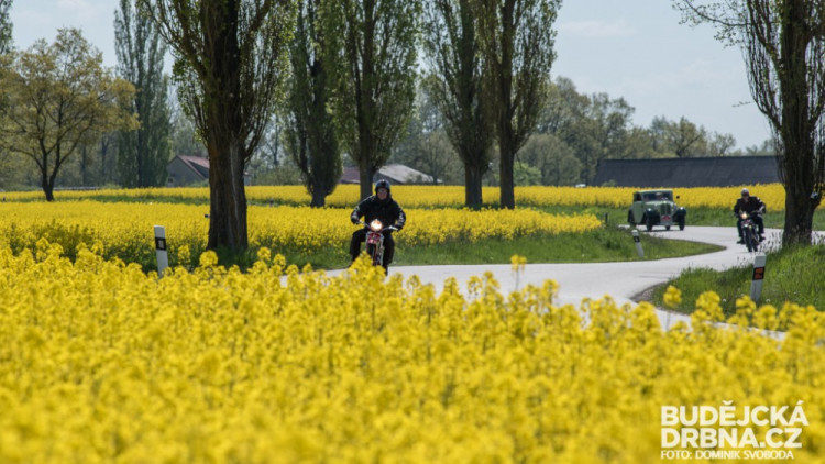 Rallye Křivonoska 2016