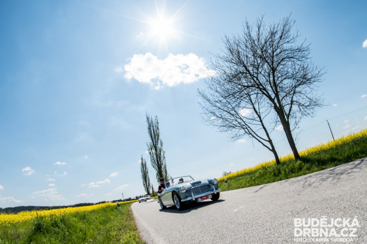 Rallye Křivonoska 2016