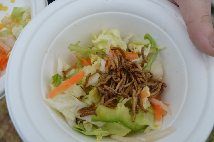 Garden Food Festival se vydařil, překonal i návštěvnost z minulého roku