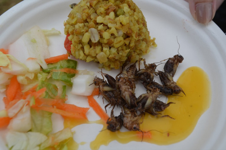 Garden Food Festival se vydařil, překonal i návštěvnost z minulého roku