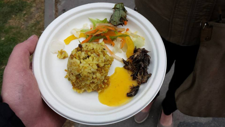 Garden Food Festival se vydařil, překonal i návštěvnost z minulého roku