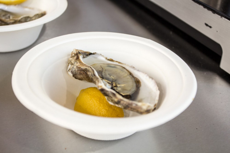 Foto: Jan Procházka