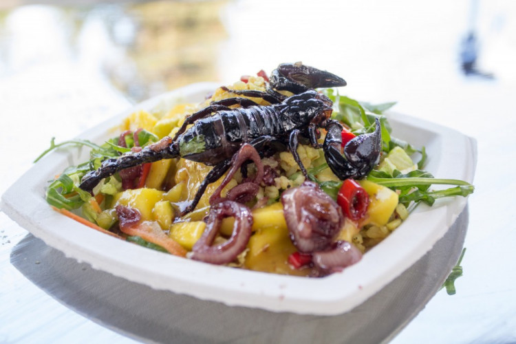 Foto: Jan Procházka