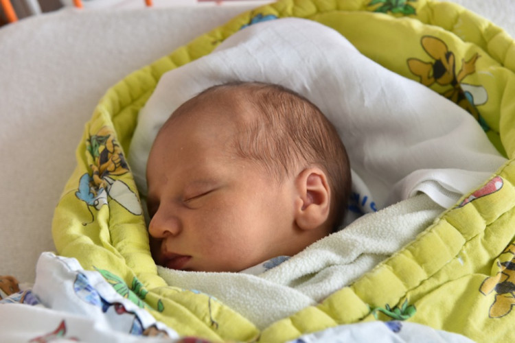 Vanda Baštová (Dubičné)