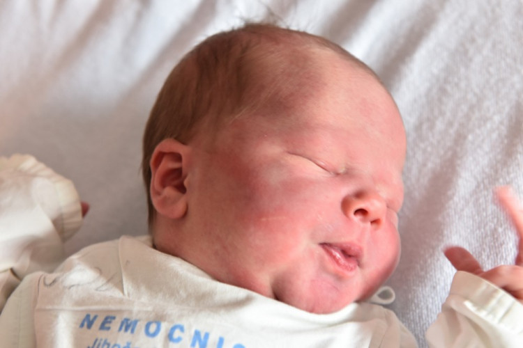 Izabela Fiktusová (Štěpánovice)