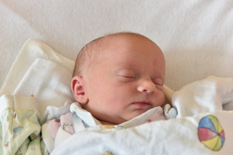 Josefína Schánělová (České Budějovice) 