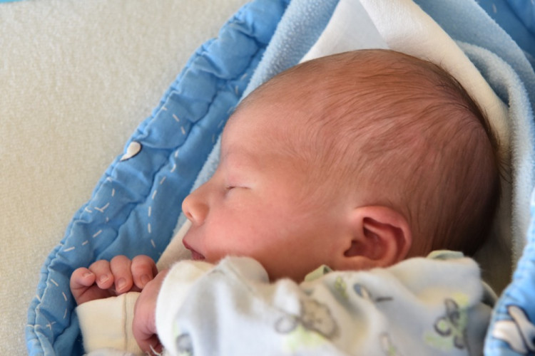 Vojtěch Soukup (Suchdol nad Lužnicí)