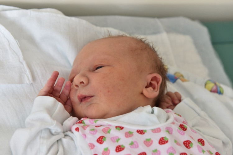 Elena Tybitanclová (Ločenice)