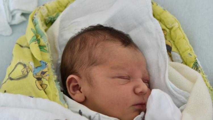 Tereza Valentová (České Budějovice)