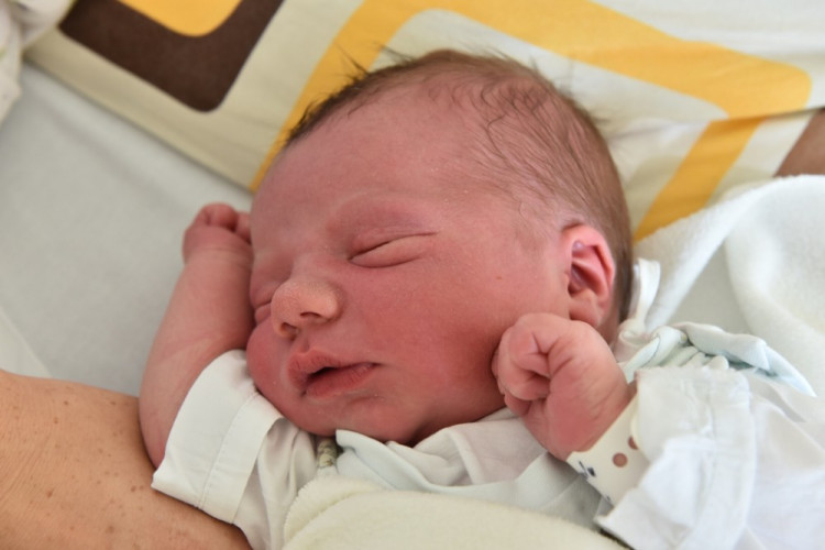 Antonín Berka (Staré Dobrkovice)