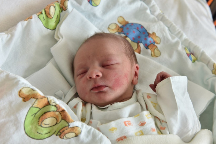 Andrea Kneisslová (Staré Hodějovice)