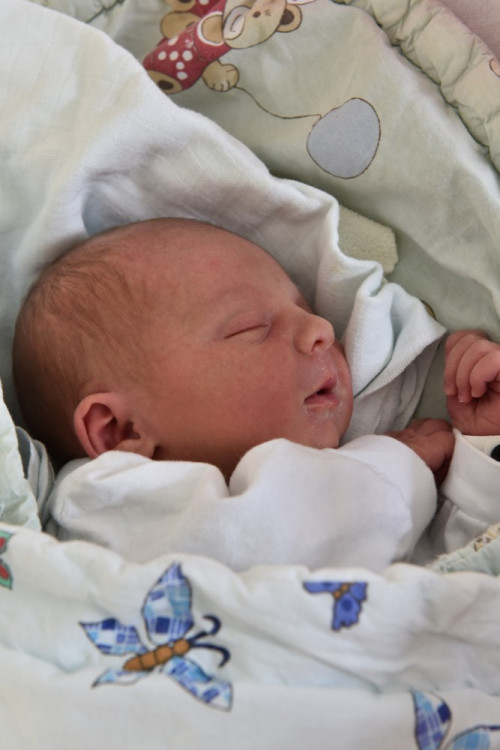 Liliana Kliková (Dolní Bukovsko)