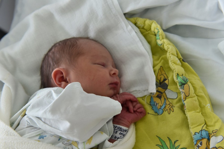 Amálie Fejfarová (Rudolfov)