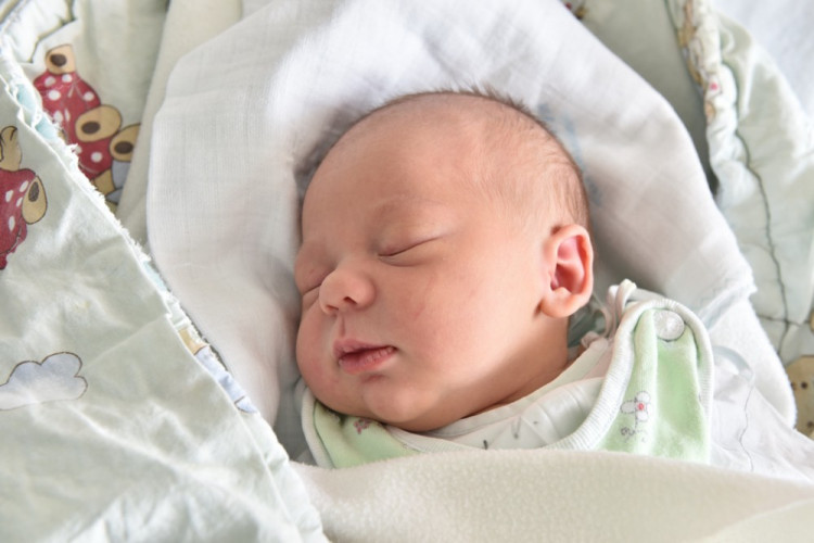 Ella Pavlíčková (České Budějovice)