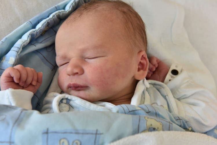 Štěpán Řiháček (Ločenice)