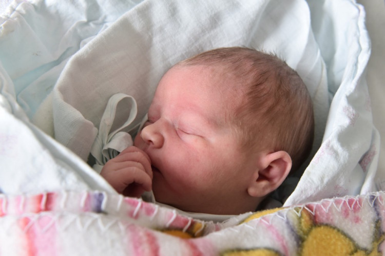 Viktorie Balíková (Buková u Nových Hradů)