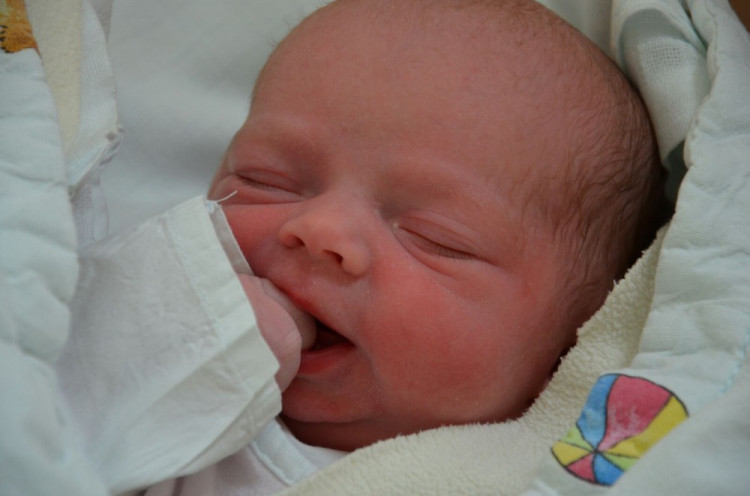 Viktorie Havlová (Olešník)