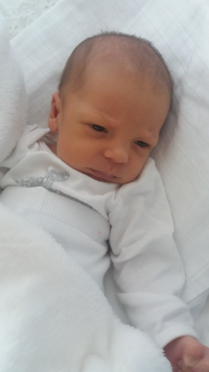 Jindřich Novák (České Budějovice)