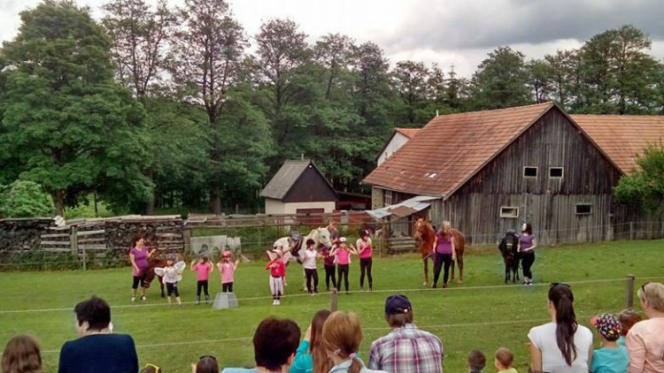 Koněhrádky v Rohozné