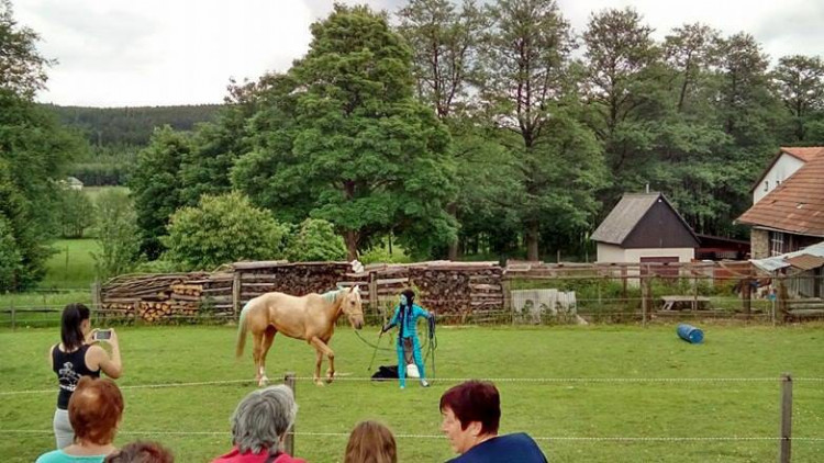 Koněhrádky v Rohozné