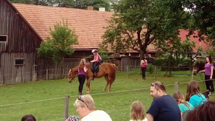 Koněhrádky v Rohozné