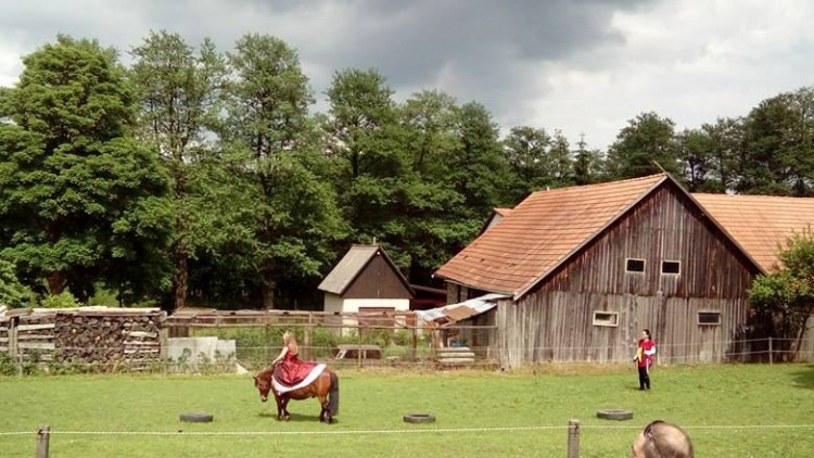 Koněhrádky v Rohozné