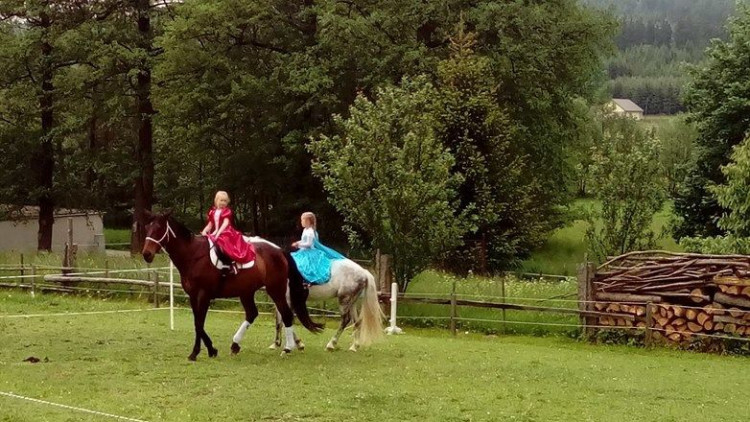 Koněhrádky v Rohozné