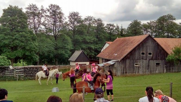 Koněhrádky v Rohozné