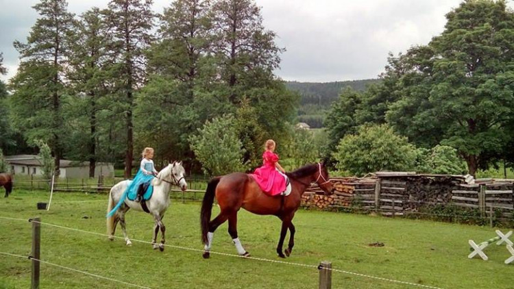 Koněhrádky v Rohozné