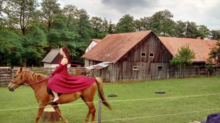 Koněhrádky v Rohozné