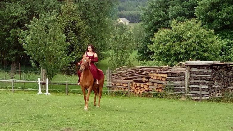 Koněhrádky v Rohozné