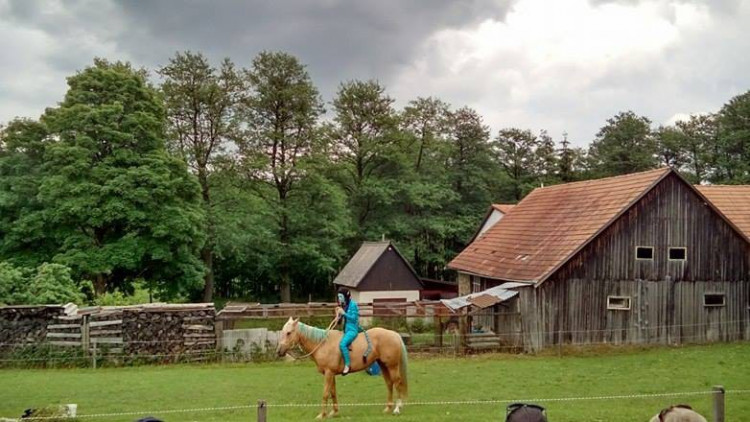 Koněhrádky v Rohozné