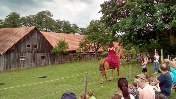 Koněhrádky v Rohozné