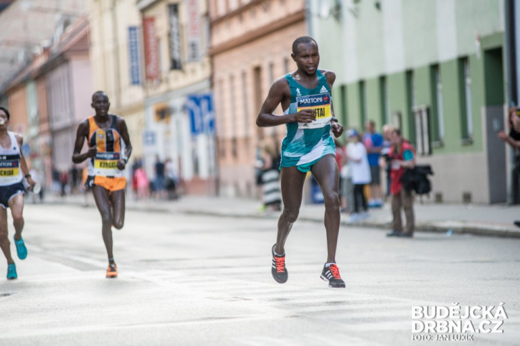 Mattoni 1/2Maraton České Budějovice 2016