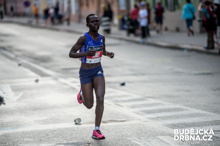 Mattoni 1/2Maraton České Budějovice 2016