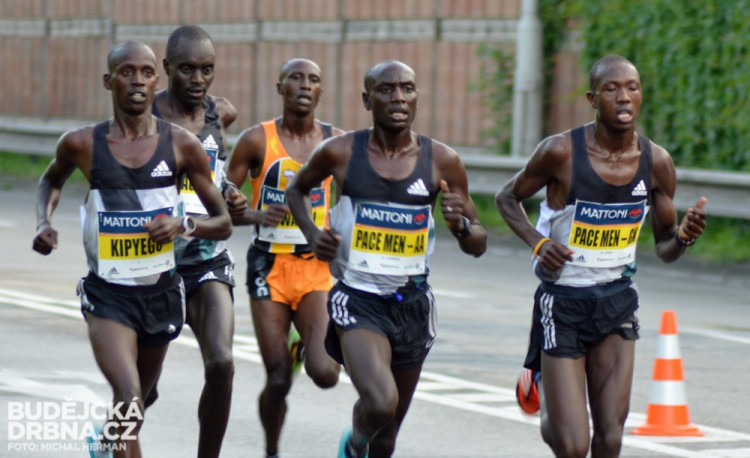 Mattoni 1/2Maraton České Budějovice 2016