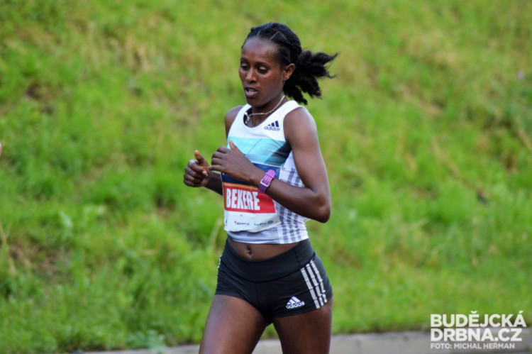 Mattoni 1/2Maraton České Budějovice 2016