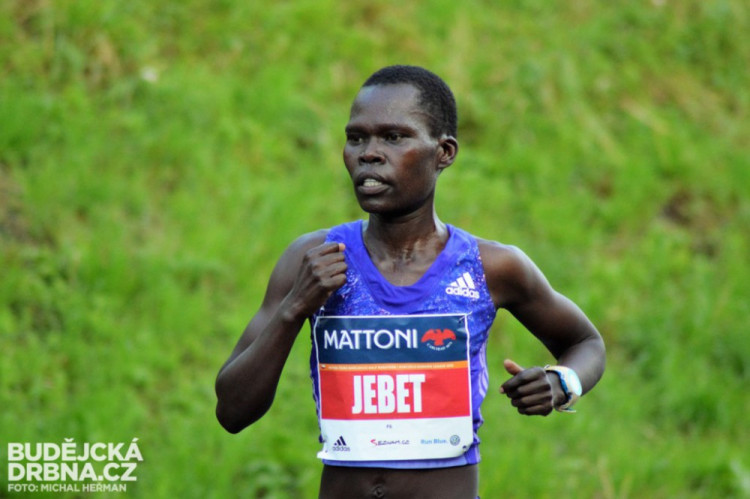 Mattoni 1/2Maraton České Budějovice 2016