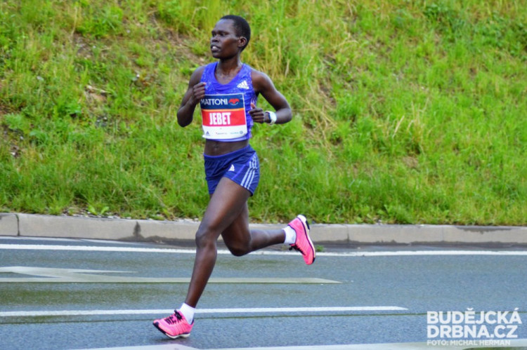Mattoni 1/2Maraton České Budějovice 2016