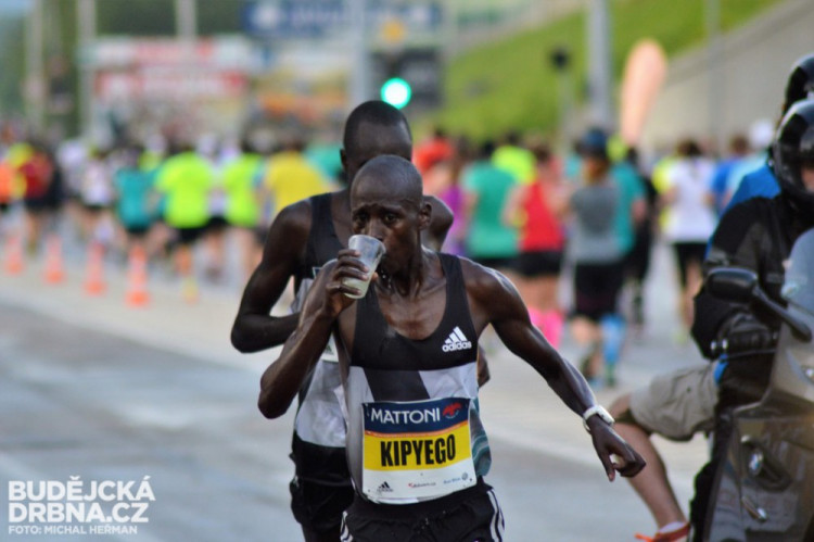 Mattoni 1/2Maraton České Budějovice 2016