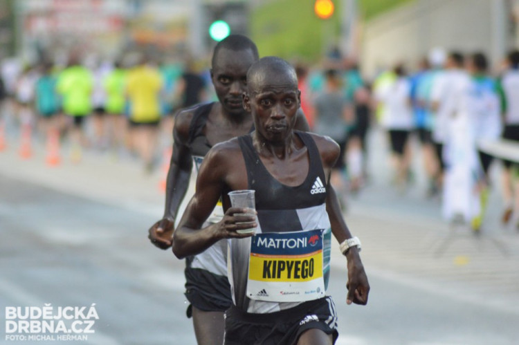 Mattoni 1/2Maraton České Budějovice 2016