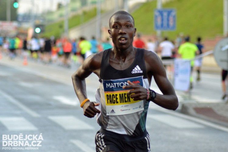 Mattoni 1/2Maraton České Budějovice 2016