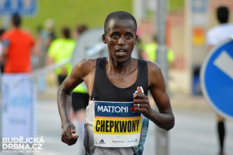 Mattoni 1/2Maraton České Budějovice 2016