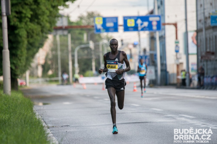Mattoni 1/2Maraton České Budějovice 2016