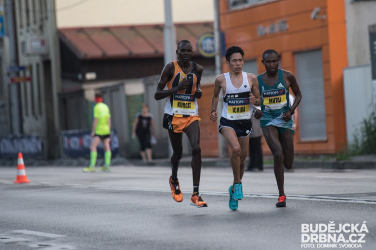 Mattoni 1/2Maraton České Budějovice 2016