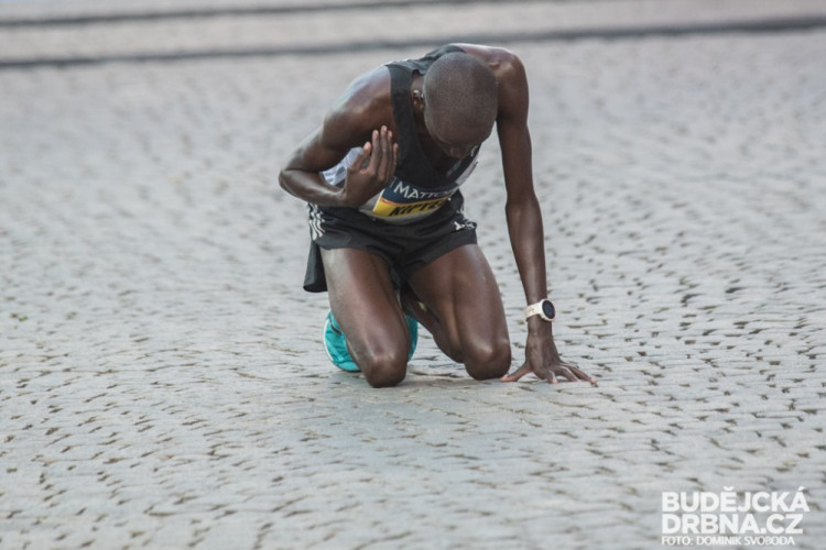 Mattoni 1/2Maraton České Budějovice 2016